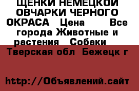 ЩЕНКИ НЕМЕЦКОЙ ОВЧАРКИ ЧЕРНОГО ОКРАСА › Цена ­ 1 - Все города Животные и растения » Собаки   . Тверская обл.,Бежецк г.